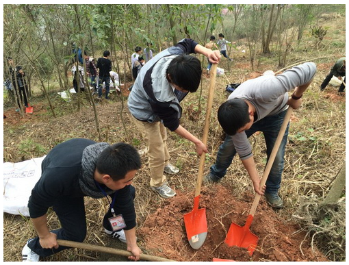 北川七一职中学生志愿者参加义务植树绿化活动