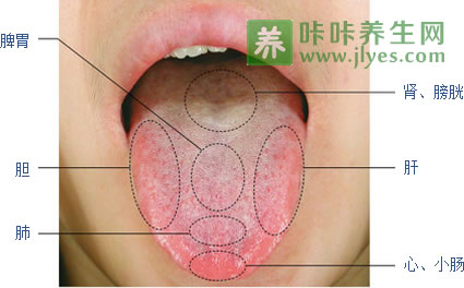 教你如何从看舌头判断出疾病把疾病消灭在萌芽