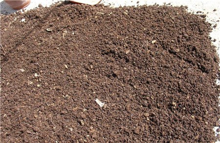 腐叶土是什么 腐叶土有什么特点?|腐叶|是什么