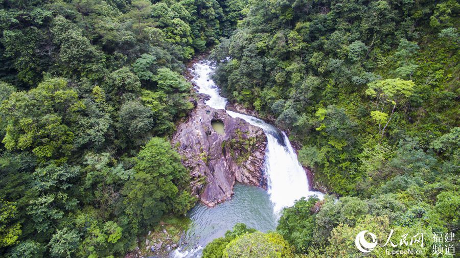 珍稀野生动物现身福建将乐龙栖山自然保护区 黑熊漫步