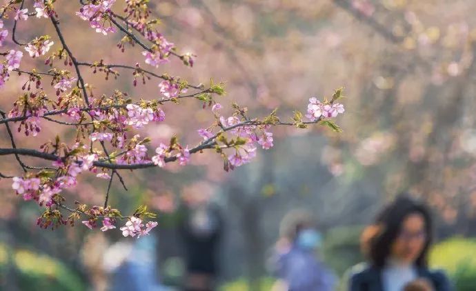 「早安」2020早安心语精辟励志短句 早安心语励志经典语录一句话