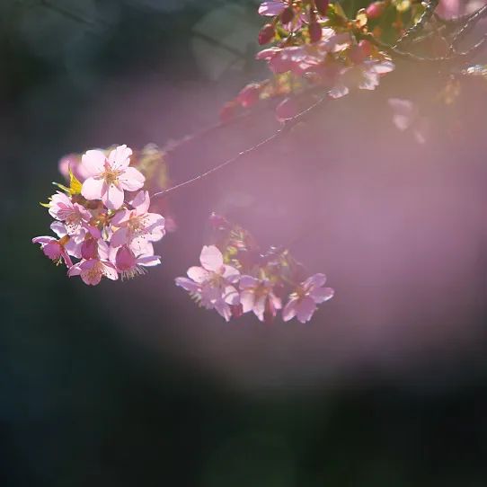 愚人节朋友圈搞笑说说 愚人节搞笑整人句子