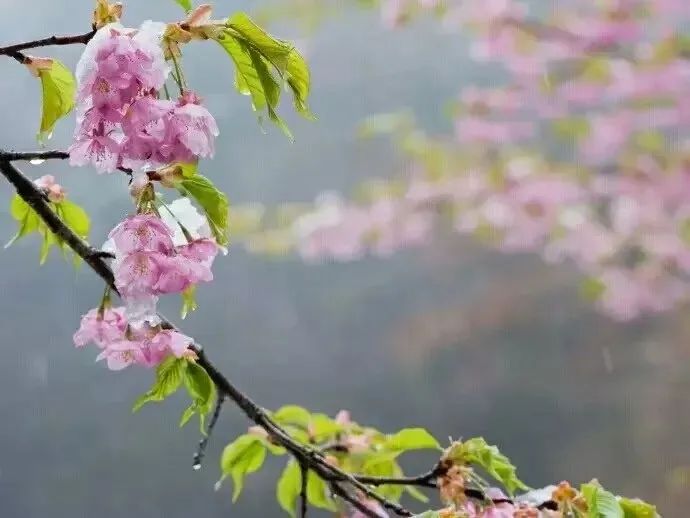 【愚人节】4月1日愚人节经典搞笑句子 选一条发朋友圈吧