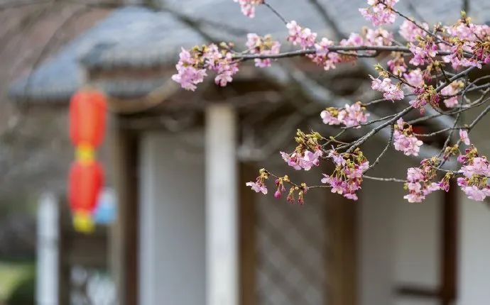 「问候语」大家早上好问候语图片 四月早晨祝福语表情