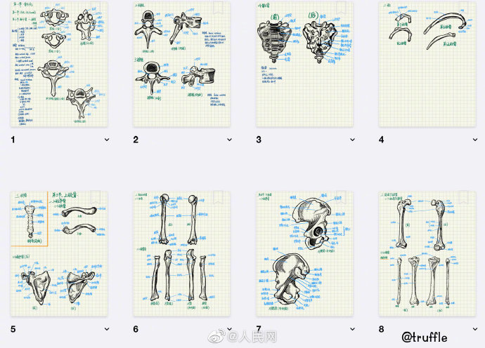 『神仙』复旦学霸的神仙笔记 精致到想收藏