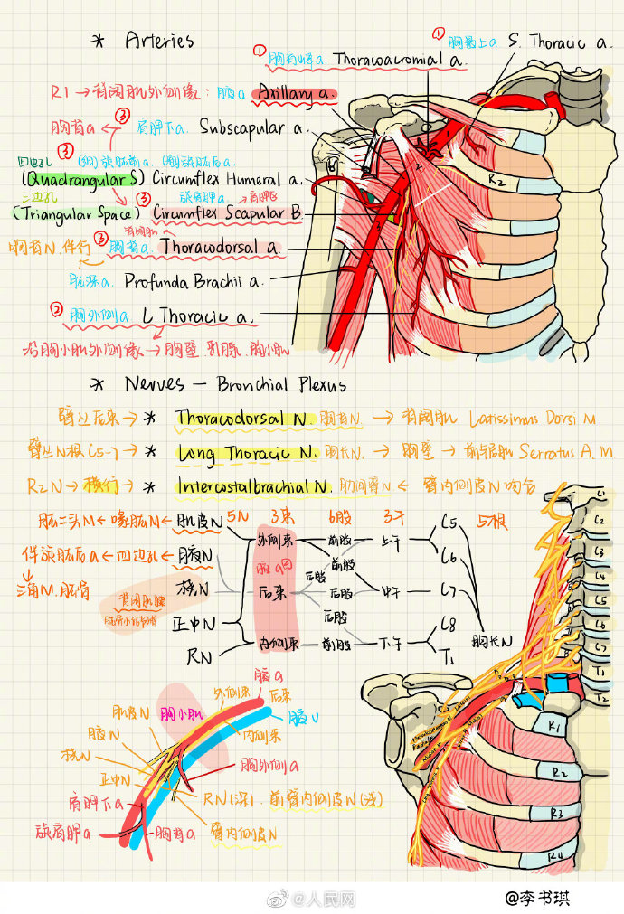 『神仙』复旦学霸的神仙笔记 从钢笔手书到电子笔记工具革新开启思维转变