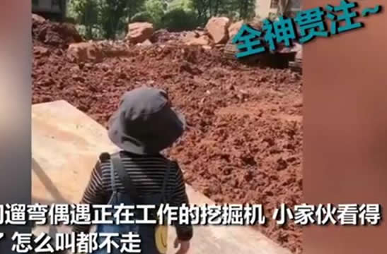 板凳：萌娃自带小板凳监工挖掘机 依然看得那么入神