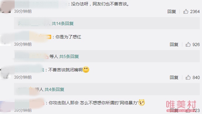 女网友回应评论杨丽萍引争议怎么回事 女子：自己遭到网络暴力