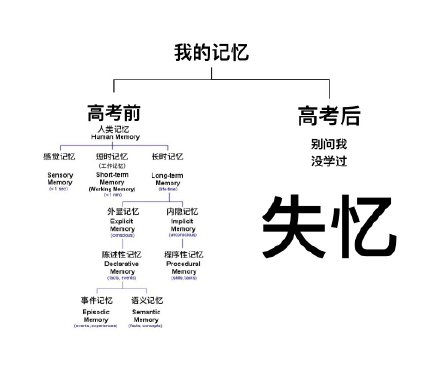 后的■高考前后的变化有多大 下图简直太真实了