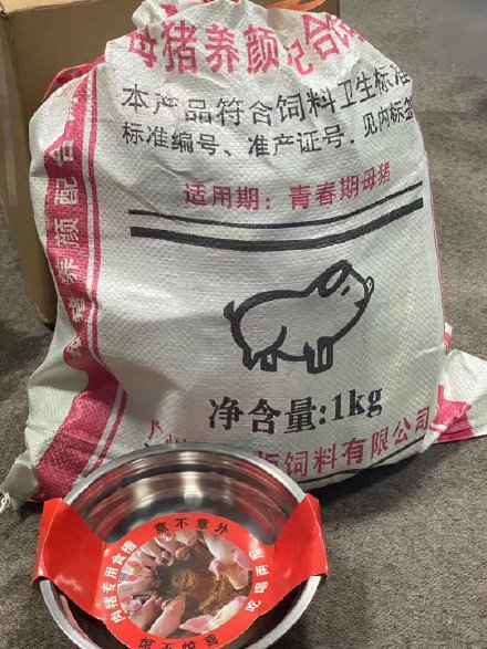 『送猪』宁静给节目组送猪饲料 宁静为什么给节目组送猪饲料