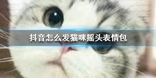 抖音怎么发猫咪摇头表情包发猫咪摇头表情包方法介绍