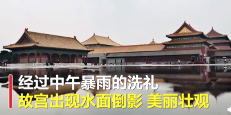 倒影|故宫雨后倒影红墙黄瓦对影成趣 网友直呼此景只应天上有