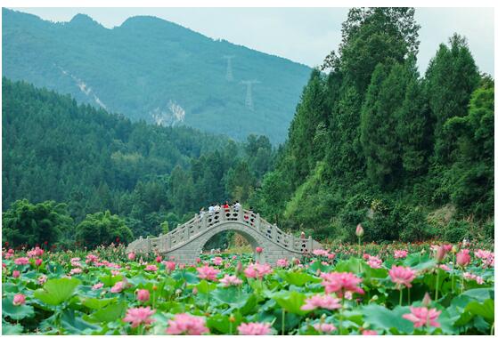 耍事|景美人少耍事多 武隆这个宝藏旅行地特别适合周末游