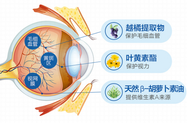 频繁追剧眼睛伤不起何不了解下叶黄素酯的功效与作用