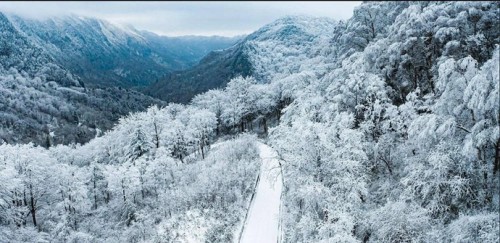 一下雪就上央视秦岭雪乡50里小众赏雪大道超实用攻略