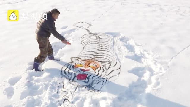 东北大叔雪地画老虎吓野猪免费为南方网友作画订单排到2月份