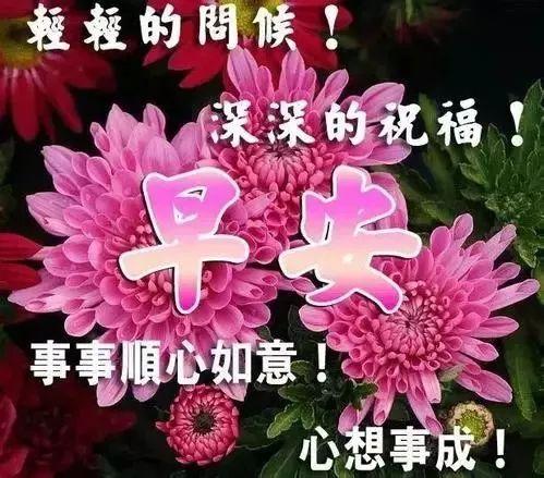 正月十六问候大家早上好鲜花表情动图 2月27日微信早上好祝福语鲜花