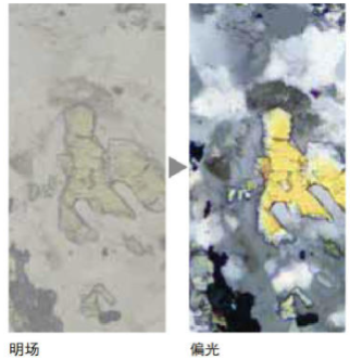 综合资讯     同样,绢云母在明场观察下的依然是平面图案,平面图像