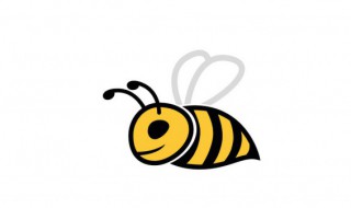 几楼以上不能养蜜蜂 养蜜蜂技术 养蜜蜂技术介绍