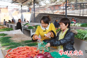 瓜子坪街道四字诀做好为民服务工作|中国四川